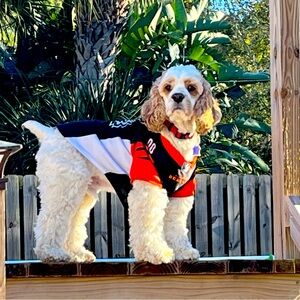 Meet your Posher, Diana